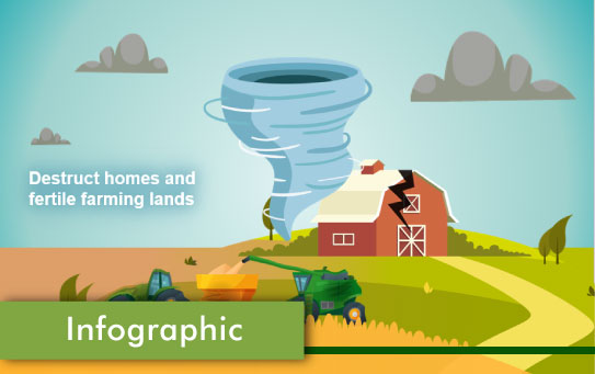 Infographic infograhic e-learning